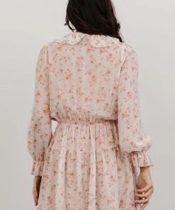 AK Doris Mini Dress | Blush Floral Dresses